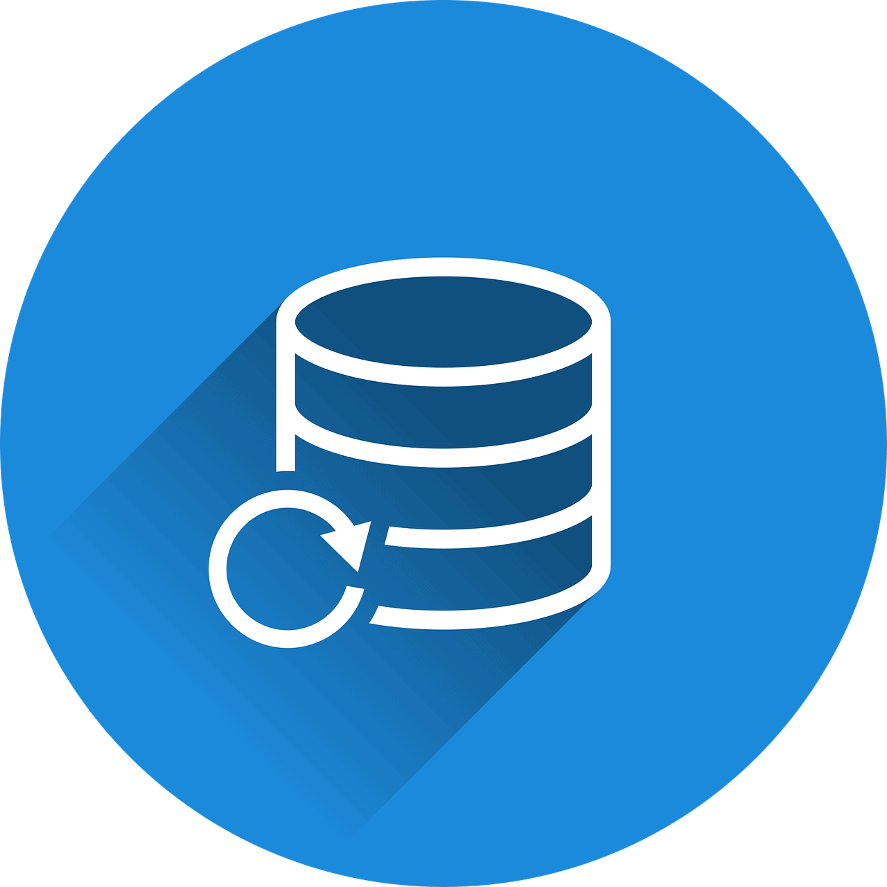 database backup